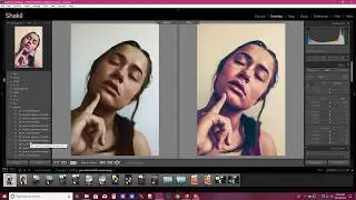 Free 2000 Lightroom Presets
