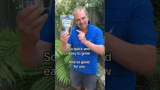 How to grow chia seeds from the supermarket #growyourgroceries #growyourownfood