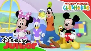Mickey Mouse Clubhouse - Donald's Special Delivery | Official Disney Junior Africa