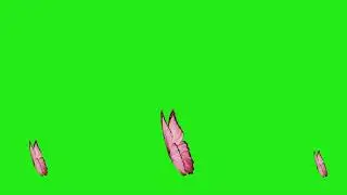 Flying butterfly stock footage green background #greenscreen #butterfly #insects #birds #shorts