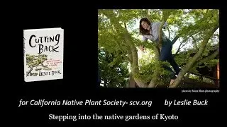 Aesthetic Pruning and Design for the Native Garden