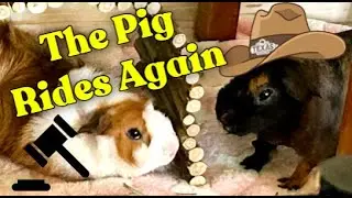 Ep.6 The Pig Rides Again I Superhero Strawberry Pig I Kids Conflict Resolution