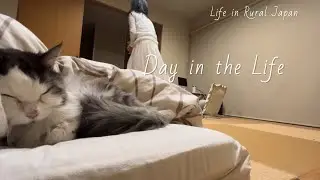 Life in Rural Japan | ☕️My ordinary morning routine |  ☃️🐈All about Picku