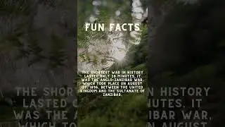 Interesting facts you probably didn&rsquo;t know 📚#fyp #interestingfactsforyou #thingsyoudidntknow