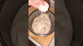 The dough cat 2 #cat #shorts