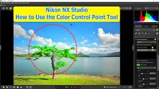 Nikon NX Studio 2025 - How to Use the Color Control Point Tool