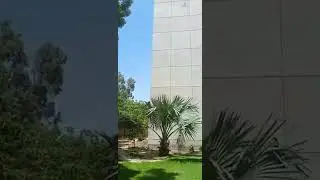 Pakistan institute of fashion and Design|PIFD| sunny day.