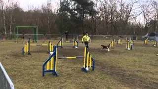 Juno jumping