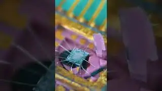 What's inside the gold chip