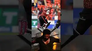 SRH FANS
