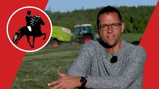 Futter für 100 Islandpferde