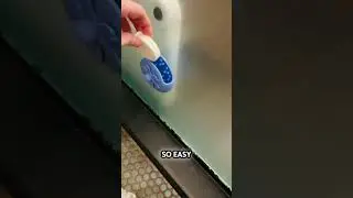 An Easy Shower Upgrade | SHARLOVY Shower Steamers Tray Blue Suction Cup