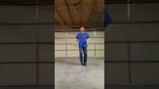 Hold Your Horses