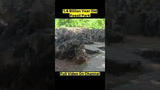 Salkhan Fossil Park In Sonbhadra #tourism #tourism_vlog #youtubeshorts
