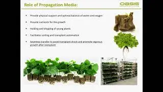 Choosing and Using Propagation Media