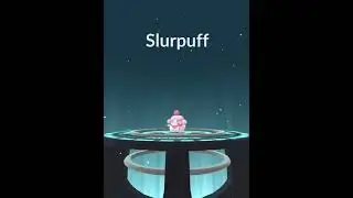 Evolving Swirlix in Pok&eacute;mon go! #shorts #pokemongo #evolve #swirlix#pokemon