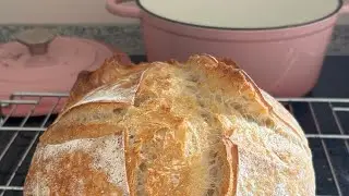 Gef&auml;hrliches Halbwissen - Sauerteigbrot backen Tutorial 🌸