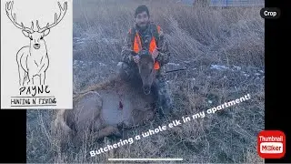 how to butcher an elk in your home kitchen!