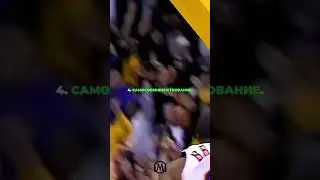 MAMBA METALITY