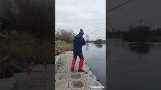 Fishing for perch Gone wrong.... Monster Pike on the river barrow Ireland 🇮🇪