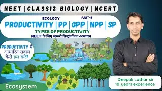 PRODUCTIVITY | Primary Productivity (PP) | GPP | NPP | Secondary Productivity | Factors Affecting PP
