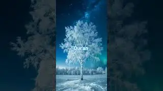 surah Nisa Ayat 146 urdu translation #understandquran #islamicstatus #islamicvideo #islam #true