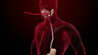 Chronic Liver Disease Treatment | Patient Testimonial | HiiMS