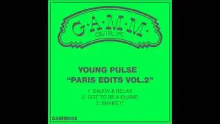 GQ - Shake It (A Young Pulse Remix)