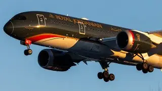 Snowy IAD spotting February 1st 2026