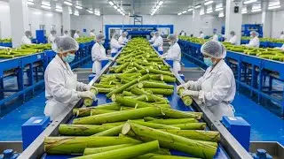 Banana Stem Fiber Manufacturing Process | Inside an Industrial Textile Factory