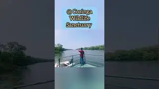 Coringa Wildlife Sanctuary @sappufamilyvlogs #minivlog #cute #familytime