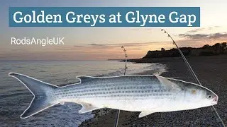 GOLDEN GREYS at GLYNE GAP