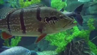 Virginia's Top 10 Fishing Spots