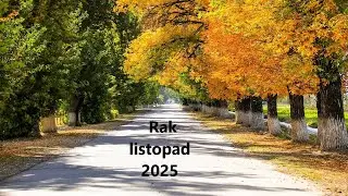Rak listopad 2025