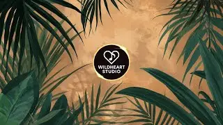 A Quiet Return to Balance 🌿 | 90-Minute Tropical Music Loop