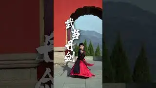 Wudang Dan Swords of Master Chen's disciple Chen Lisheng #wudangkungfu #wudang #chenlisheng