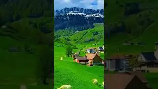 Beautiful place#youtubeshorts #trendingshorts #trending #travel #reels #JN