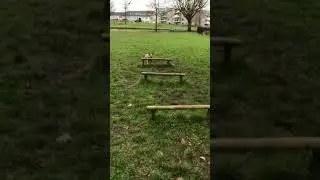 HOP De Driegang Purmer-Zuid 4