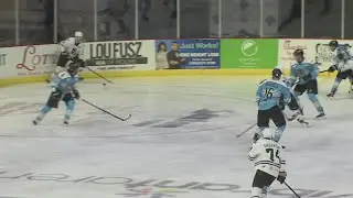 Quad City Storm to hit the ice as the 'Fire Quackers' for rebrand games on Jan. 9 and 10