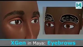 Create Eyebrows in Maya using XGen
