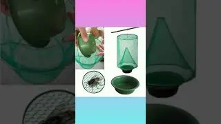 Cool Gadget🙏 | Hanging Fly Catcher😯 #Shorts