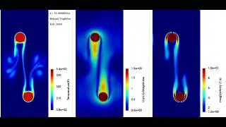 OpenFOAM&reg; - Collision of Two Hot Objects Driven by Buoyancy and Gravity (Immersed Boundary Method)