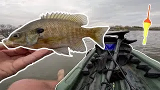 Bobber Fishing Cappies and Bluegills in my Kayak || Spring 2025