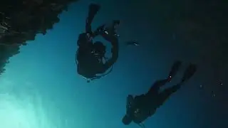 E.T.  at Fiji  full size 2024.09 Beqa Adventure Divers