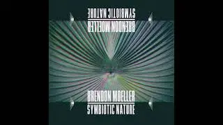 POTENTIALITY - BRENDON MOELLER