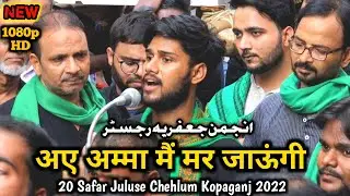 अए अम्माँ मैं मर जाऊँगी | Anjuman Jafariya Registered | 20 Safar Juluse Arbaeen Kopaganj 2022