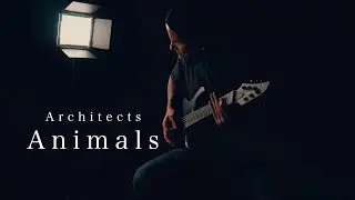 ARCHITECTS | ANIMALS