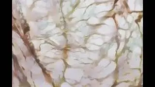 Cauls use in Witchcraft