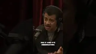 The Mystery of Evidence  Is Absence Really Evidence? #podcast #neildegrassetyson #shorts #joerogan