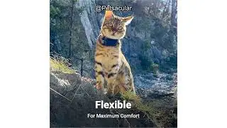 Tractive GPS Cat Mini Rubber Mounting Attachment Review: Is It Worth the Investment?
